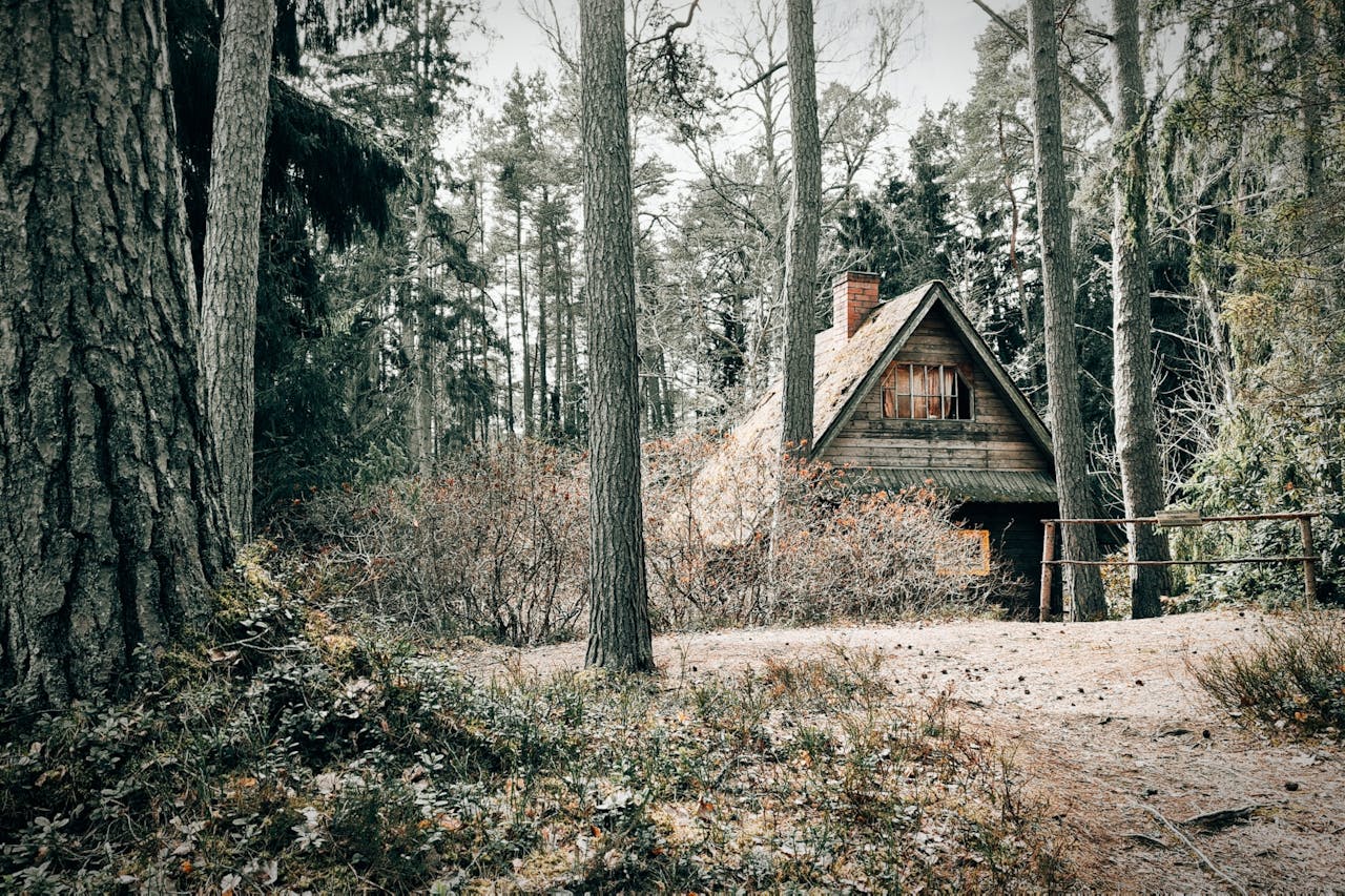 A secluded wooden cottage surrounded by Latvia's forest trees during autumn.