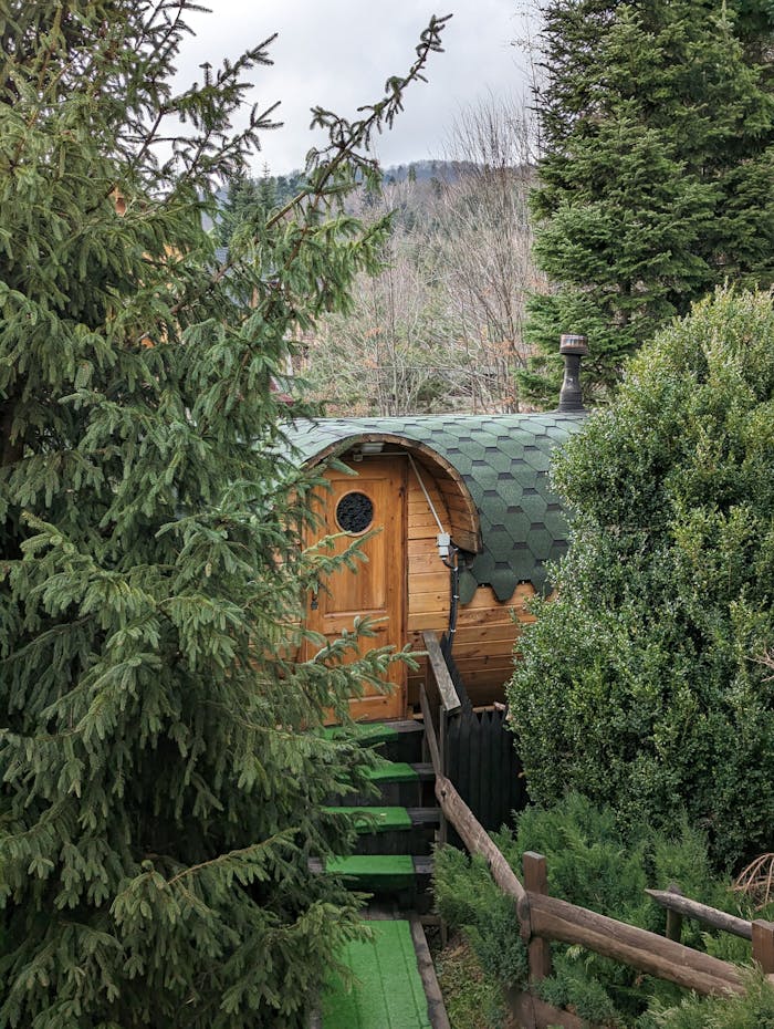 Charming wooden cabin nestled among dense trees, ideal for a tranquil retreat.