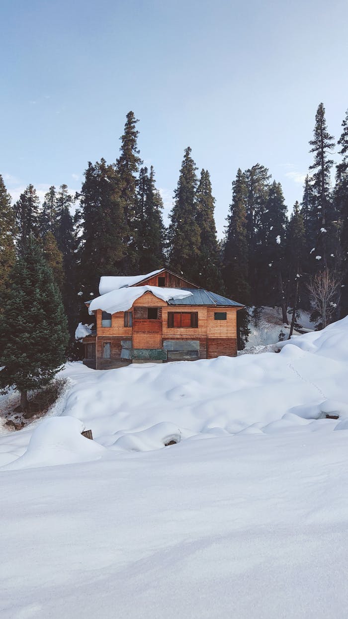 Wooden chalet surrounded by snow and pine trees, capturing a serene winter scene.