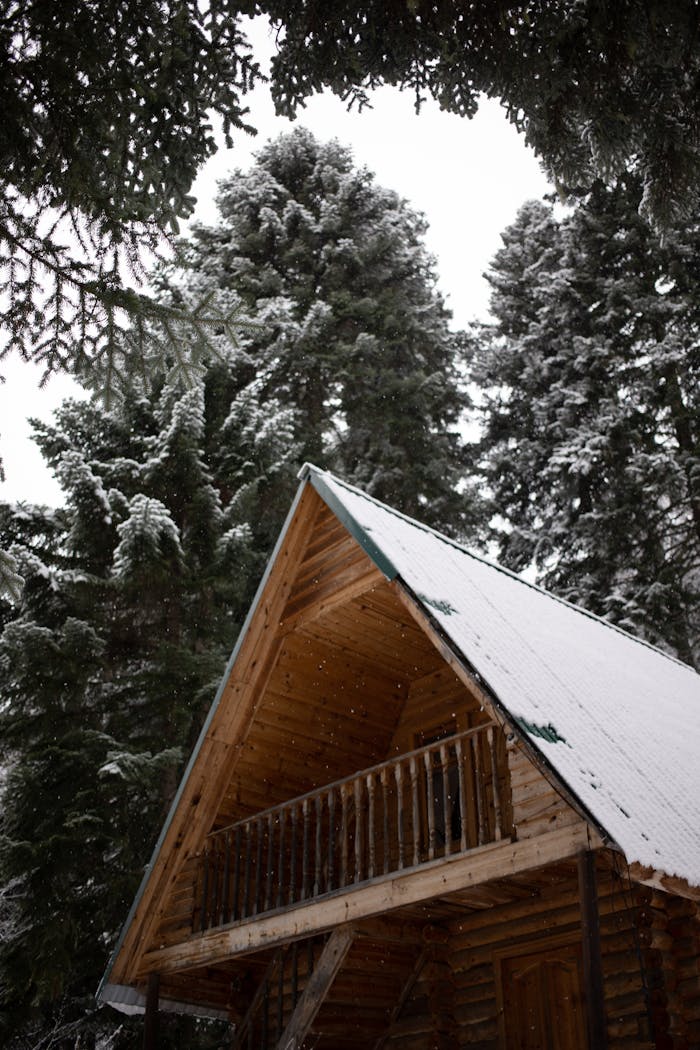 Cozy wooden cabin amidst towering snow-covered pine trees, epitomizing winter tranquility.
